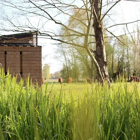 And Slow : Eco-responsible Tiny House * Pietrain