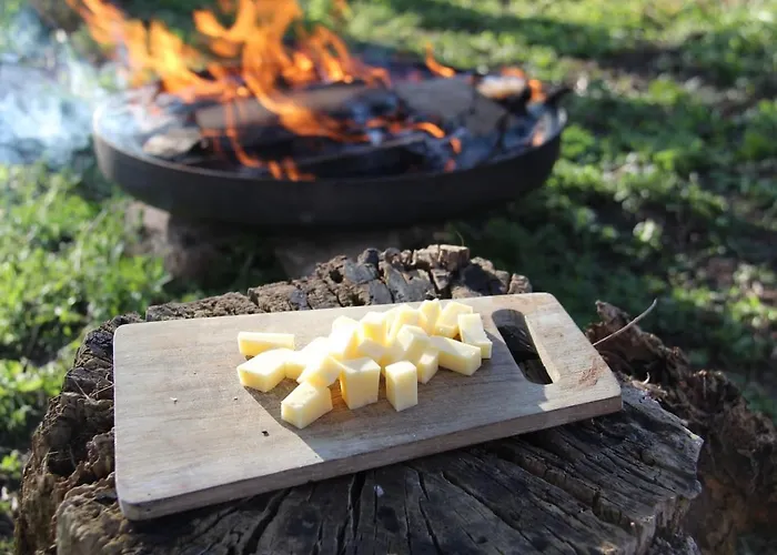 Luxe tent And Slow : Eco-responsible Tiny House Pietrain